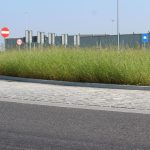 trawa na rondzie (6)