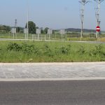 trawa na rondzie (7)