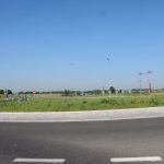 trawa na rondzie (8)