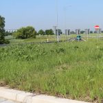 trawa na rondzie (9)