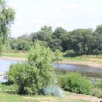 Chobienia, spływ Odrą na tratwie, 20.07.2019 r (26)