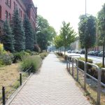 010Kunegunda Jankowska fryzjer fryzjer darek