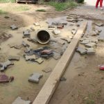 Jastrzębia bałagan