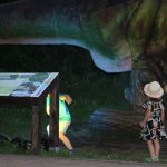 Noc Dinozaurów 2019, 14.08.2019 r (58)