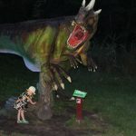 Noc Dinozaurów 2019, 14.08.2019 r (61)