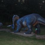 Noc Dinozaurów 2019, 14.08.2019 r (63)