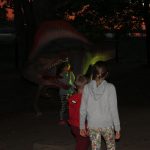 Noc Dinozaurów 2019, 14.08.2019 r (68)