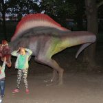 Noc Dinozaurów 2019, 14.08.2019 r (70)