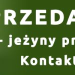 jezyny świątek