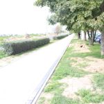 remont Jana Pawła II (13)