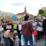 strajk klimatyczny (26)