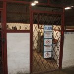 kopalnia, kghm, wizyta studyjna, szyb św. jakuba, polkowice-sieroszowice, sierpol, 2410 (55)