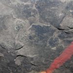 kopalnia, kghm, wizyta studyjna, szyb św. jakuba, polkowice-sieroszowice, sierpol, 2410 (92)