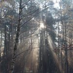 droga na rynarcice, wypadek (33)