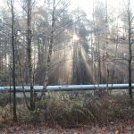 droga na rynarcice, wypadek (34)