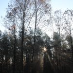 droga na rynarcice, wypadek (35)