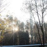 droga na rynarcice, wypadek (36)