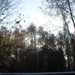 droga na rynarcice, wypadek (37)