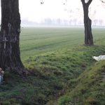 wypadek śmiertelny koło Ścinawy, 20.11.2019 r (13)