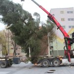 Choinka w Rynku, 02.12 (1)