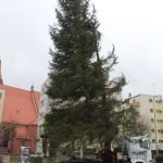 Choinka w Rynku, 02.12 (12)