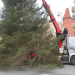 Choinka w Rynku, 02.12 (15)