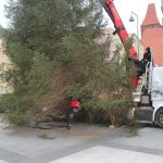 Choinka w Rynku, 02.12 (16)