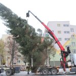 Choinka w Rynku, 02.12 (2)