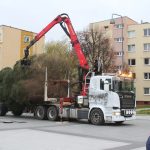 Choinka w Rynku, 02.12 (20)