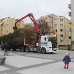 Choinka w Rynku, 02.12 (21)