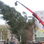 Choinka w Rynku, 02.12 (23)