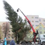 Choinka w Rynku, 02.12 (3)