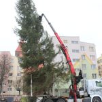 Choinka w Rynku, 02.12 (4)