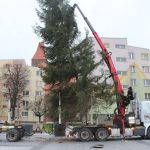 Choinka w Rynku, 02.12 (5)