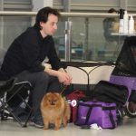 Wystawa psów, hala rsc, Lubin, 10.01 (126)