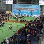 Wystawa psów, hala rsc, Lubin, 10.01 (145)