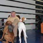 Wystawa psów, hala rsc, Lubin, 10.01 (152)