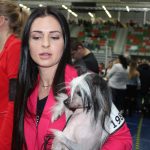 Wystawa psów, hala rsc, Lubin, 10.01 (63)