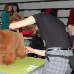 Wystawa psów, hala rsc, Lubin, 10.01 (69)