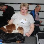 Wystawa psów, hala rsc, Lubin, 10.01 (70)