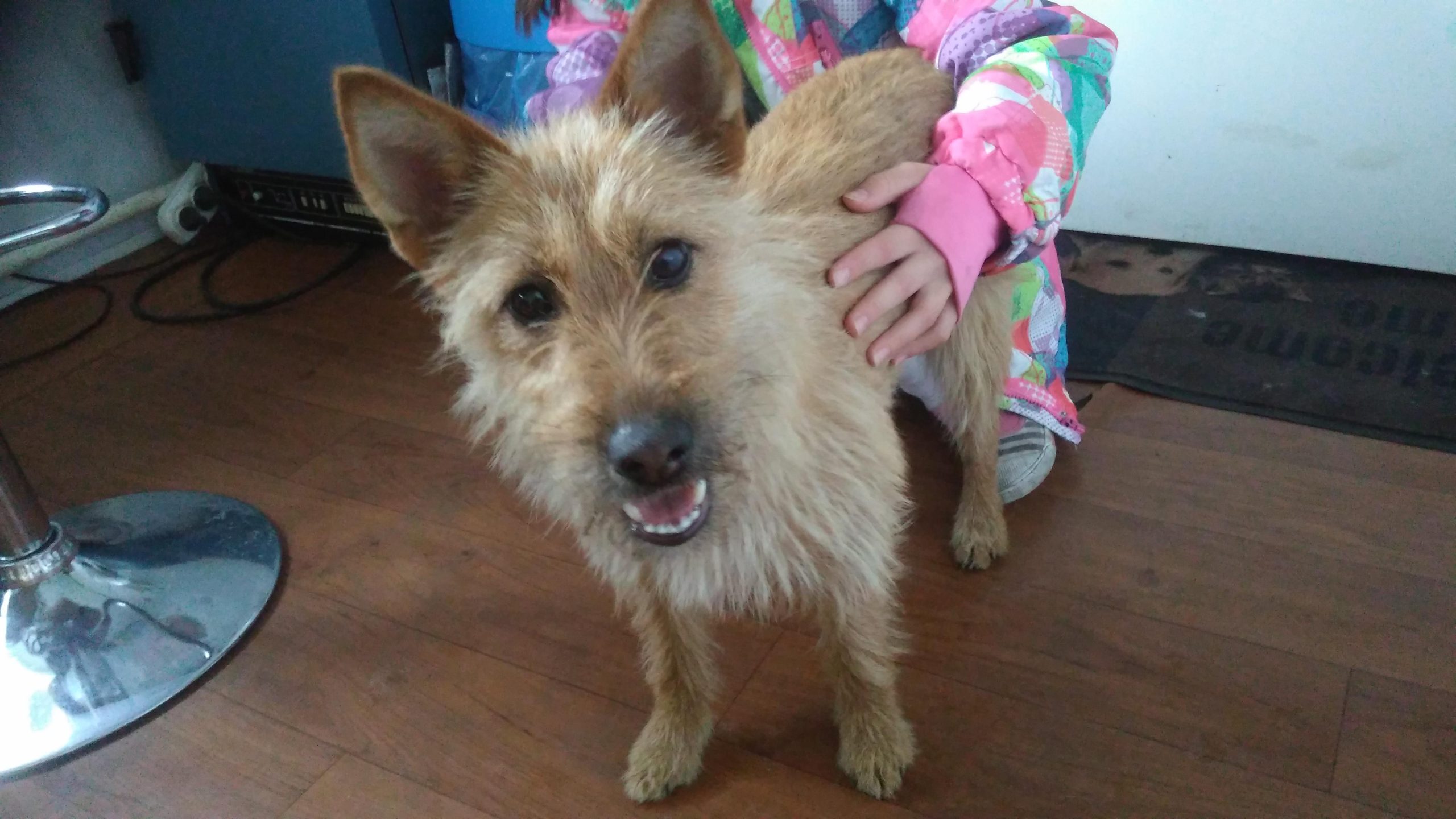 Piątkowe nowości w kinie Helios