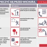 d2530982-0082-47bd-83c5-155bd2f4b117