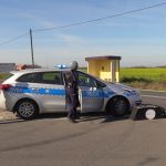 93186026_930149574071269_948886867007242240_n