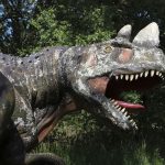 park wrocławski, zoo, 2020 (3)