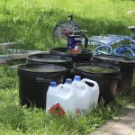 park wrocławski, zoo, 2020 (4)