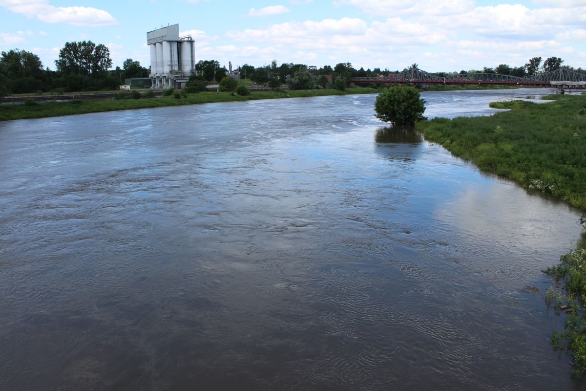 Odra w Scinawie, 23.06 (15)