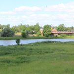 Odra w Scinawie, 23.06 (18)