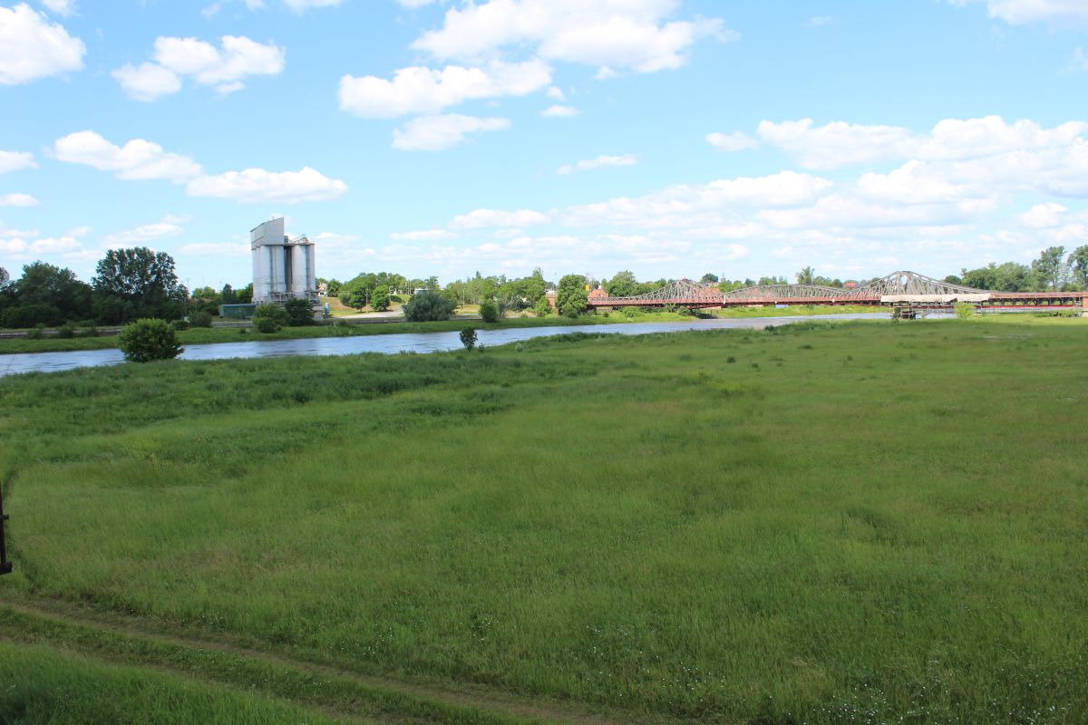 Odra w Scinawie, 23.06 (19)