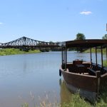Odra w Scinawie, 23.06 (2)