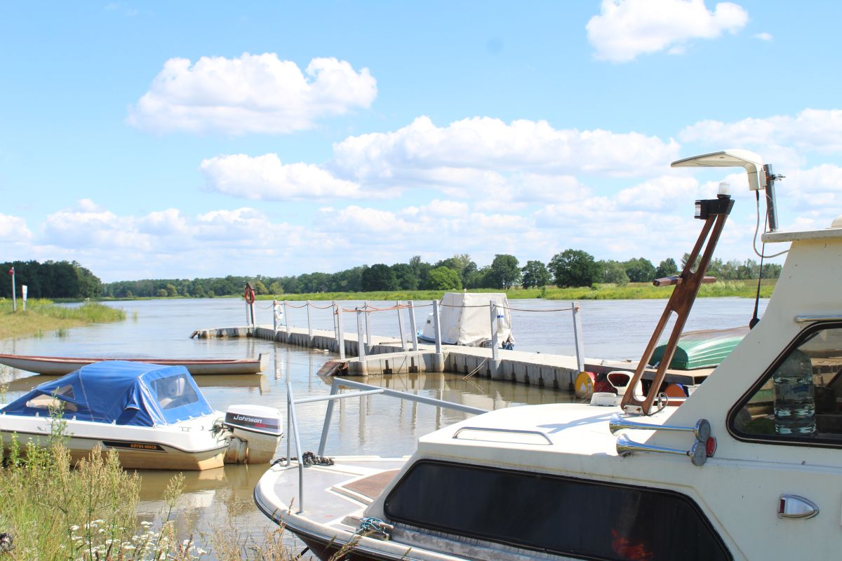 Odra w Scinawie, 23.06 (4)